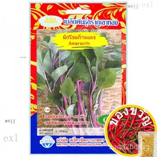 เมล็ดพันธุ์ ผักโขมก้านแดง (Amaranth) บรรจุ 3 กรัม ความงอก 85% AK3F