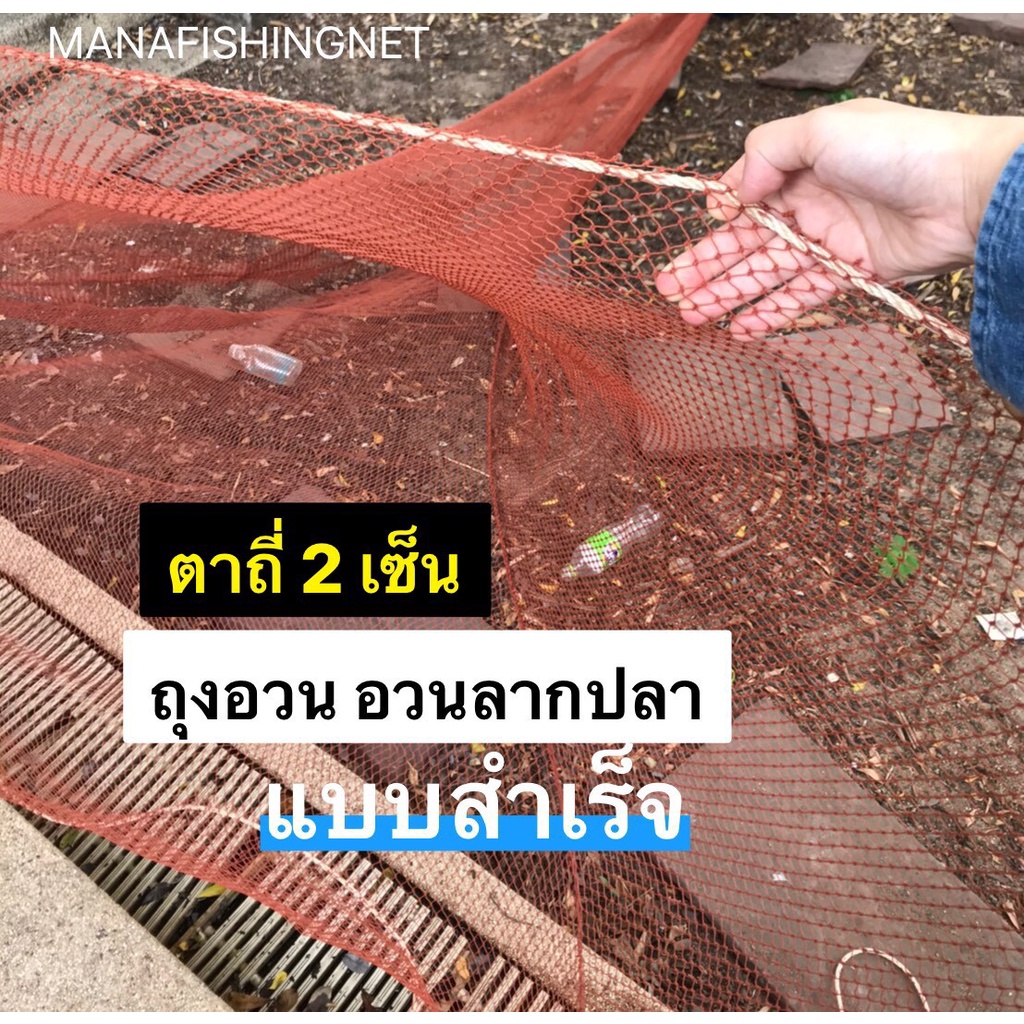 My Image 30