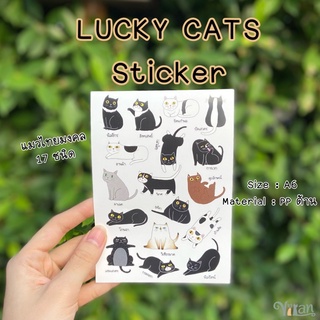 VILAN  Sticker / Postcard  สติกเกอร์ โปสการ์ด แมวมงคล / Lucky cats