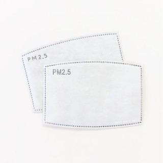 แผ่นกรองฝุ่น PM2.5 (ซื้อ 12 แถม 1 แผ่น)