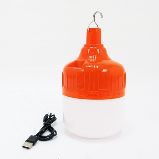 หลอดไฟฉุกเฉิน LED 3H 100W T120 ตะขอ c/w และสายเคเบิล USB - ไฟกลางวัน