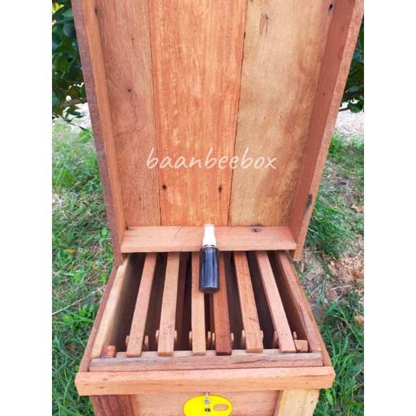 กล่องเลี้ยงผึ้งโพรงป่าพร้อมคอนสามสาย6คอนและฟีโรโมน.1ขวด - รูปที่ 2