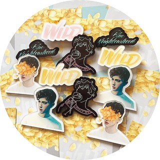 เข็มกลัดอะคริ Troye Sivan (fan-made) 6 designs