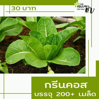 กรีนคอส ( เมล็ดพันธุ์ ) 1 ซอง/ 200 เมล็ด