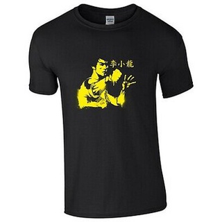 เสื้อยืดคอกลม แขนสั้น พิมพ์ลาย Karate Master Kung Fu Fighter ทรงหลวม สไตล์อเมริกัน สําหรับผู้ชาย