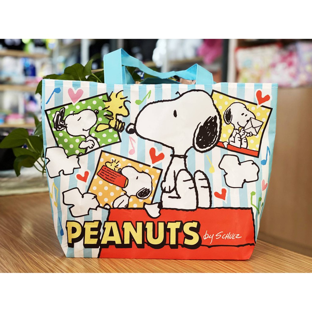 Eco Bag กระเป๋าพับเก็บได้ สะดวกสะบาย