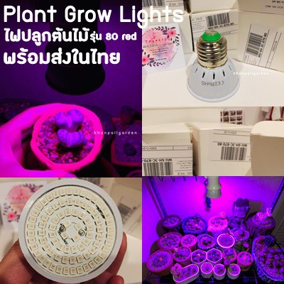 Plant Grow Lights (ไฟปลูกต้นไม้ พร้อมส่งในไทย) ของแท้100%