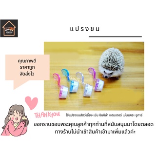 ✨แปรงนุ่ม ขนเม่นแคระ แฮมเตอร์ ชินชิล่า ชูการ์ สัตว์เล็ก