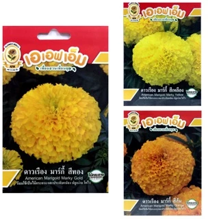 เมล็ดดอกดาวเรือง (Marigold) เมล็ดพันธุ์ดาวเรือง