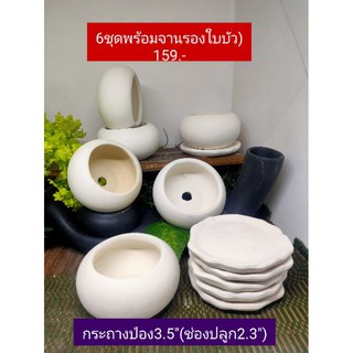 กระถางป่องขาวธรรมชาติ3.5"(ช่องปลูก2.3")