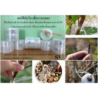 เทปพันกิ่ง ฟิล์มพันกิ่ง กว้าง 3,5,10 ซม แกนพลาสติก ยาว 200 เมตร เทปยืดได้อีกเท่าตัว เหนียว ไม่มีกาว สำหรับตอนกิ่ง ติดตา
