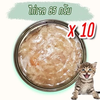 (แพค x10) อาหารแมว กระป๋องเปลือย อาหารแมวเปียก จากโรงงาน ราคาถูก 85 - 185 g ทูน่า ไก่ Oasis Cat Food