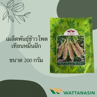ข้าวโพดเทียนหมื่นฝัก 200 กรัม