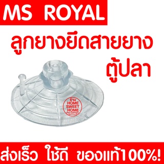 *ส่งไว* ลูกยางยึดสายยาง MS ROYAL จุ๊บยางตู้ปลา จุ๊บยางติดกระจกตู้ปลา จุ๊บยาง เพื่อจัดสายยางให้เป็นระเบียบ ตู้ปลา
