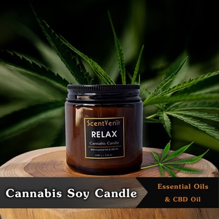 เทียนหอมไขถั่วเหลือง อโรม่า กลิ่นกัญชา Cannabis Soy Candle ผสม น้ำมัน CBD Oil และเชียบัตเตอร์ - 2 In 1 ใช้นวดตัวได้