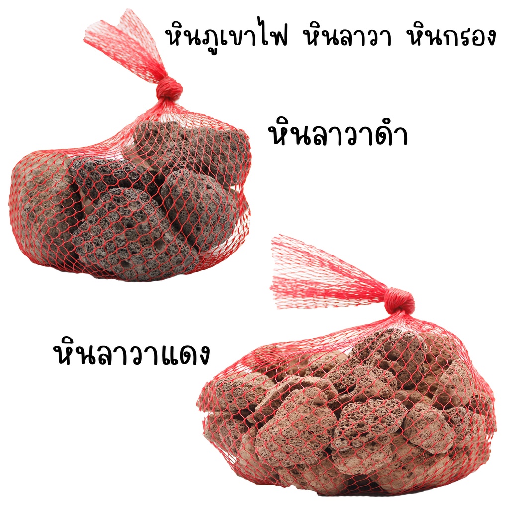 หินลาวา**วัสดุกรองจากธรรมชาติ ช่วยดูดซับสารพิษ สารแอมโมเนีย ไนไตรต์ ไนเตรต มีรูพรุนสูง** ช่วยกรองน้ำใส