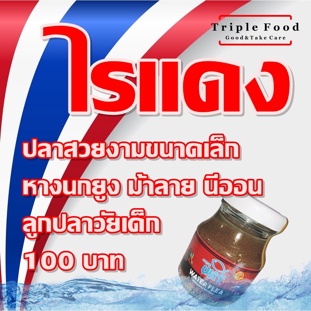 ไรแดง อาหารปลา TF-UHT ❖ ปลาหางนกยูง ปลาม้าลาย ปลานีออน อาหารลูกปลา อาหารลูกปลากัด อาหารลูกปลาทอง ลูก