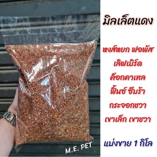 มิลเล็ตแดงเม็ด 1 กิโล มิลเล็ตแดง Red Millet มิลเลตแดง อาหารเสริมสำหรับนกและแฮมสตอร์ (แบบเม็ด 1 กิโล)