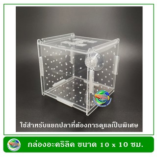 กล่องอคริลิคแยกเลี้ยงปลา กุ้ง ในตู้ปลาใหญ่ แบบจุกยาง 1 ช่อง Acrylic Aquarium Fish Tank Box