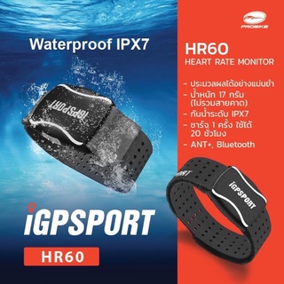 igpSport HR แบบคาดแขน