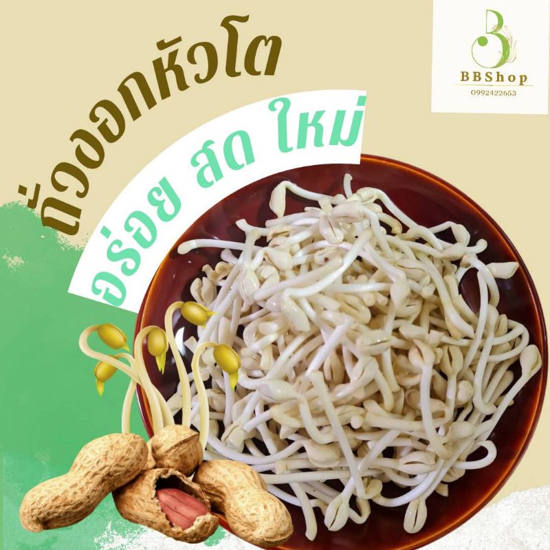 ถั่วงอกหัวโตดองสามรถขนาด400กรัม