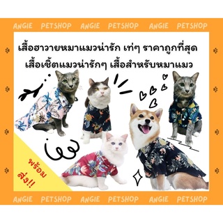 [🐕พร้อมส่ง] เสื้อฮาวายหมาแมวเท่ๆ ราคาถูกที่สุด เสื้อเชิ้ตแมวน่ารักๆ เสื้อสำหรับหมาแมว