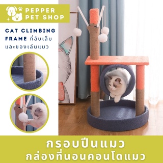 🔥ร้านคนไทย-พร้อมส่ง🔥คอนโดแมว กรอบปีนแมว ที่ลับเล็บแมว Cat climbing frame บ้านแมว กล่องที่นอนคอนโดแมว ของเล่นสำหรับน้องแม