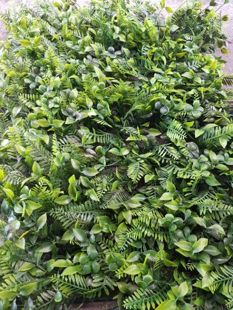 หญ้าสามสหาย หญ้าเทียม หญ้าแผ่นติดผนัง ขนาด 40×60cm  จัดสวนแนวตั้ง มีหญ้าผสม 3 ชนิดรวมกัน