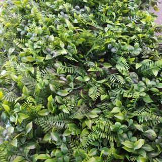 หญ้าสามสหาย หญ้าเทียม หญ้าแผ่นติดผนัง ขนาด 40×60cm  จัดสวนแนวตั้ง มีหญ้าผสม 3 ชนิดรวมกัน