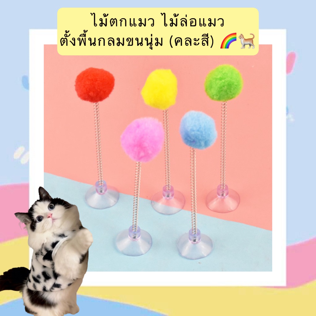 PP-393 ไม้ตกแมว ไม้ล่อแมว ตั้งพื้นทรงกลม ขนนุ่ม ติดกระจกได้ (คละสี) ของเล่นแมวแสนน่ารัก ราคาถูก พร้อมส่ง 🐱