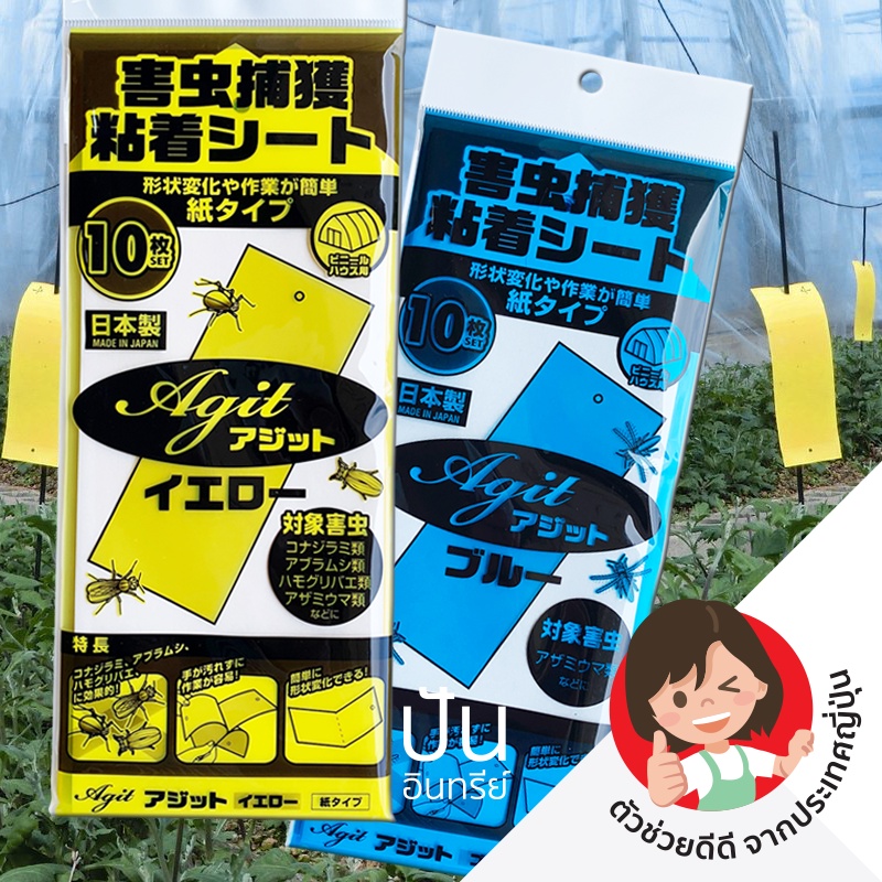 10 แผ่น 🇯🇵 แผ่นกาวดักจับแมลง ญี่ปุ่น (Adhesive Traps) กันน้ำ ไร้กลิ่น ปราศจากสารเคมี ใช้งานง่าย