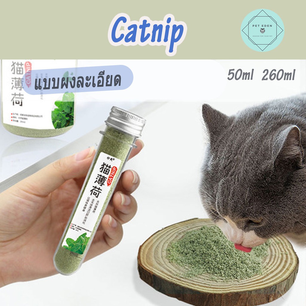 Catnip Catmint กัญชาแมวแบบผงละเอียด กัญชาแมว แคทนิป 50ml, 260ml