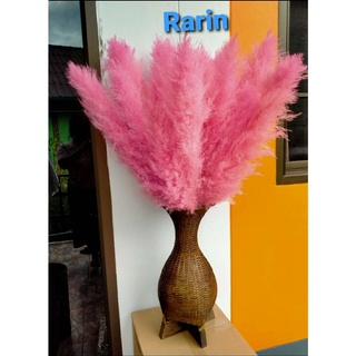 Rarin ดอกแพมพัส พลาสเทล ( สีชมพู พลาสเทล 1  ก้าน ) ก้านใหญ่ ยาว 90 cm. รวมก้าน เป็นดอกไม้ธรรมชาติย้อมสี  ดอกฟูสวยมาก