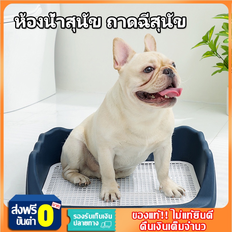 🐶 ห้องน้ำหมาขอบสี่เหลี่ยม ห้องน้ำสุนัข ถาดฉี่สุนัข มีเสาถอดได้ มีตะแกรงรองถาด ทำความสะอาดง่าย ถาดรองฉี่สุนัข