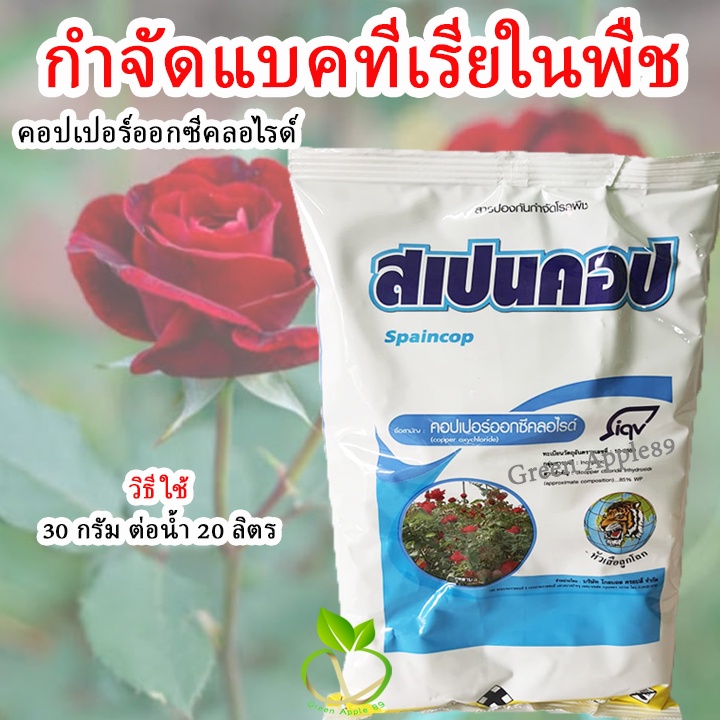 สเปนคอป คอปเปอร์ออกซีคอลไรด์ ขนาด 1 กิโล ยากำจัดเชื้อรา คอปเปอร์ออกซี่ คอปเปอร์ คอปเปอซัลเฟต คอปเปอร์น้ำ คอปเปอร์คลอไร
