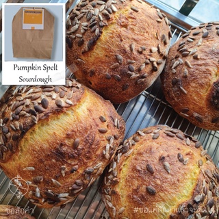 [เจ/วีแกน] Pumpkin Spelt Sourdough (ขนมปังซาวโดว์ฟักทองแป้งสเปลท์) & Multigrain Sourdough (ขนมปังซาวโดว์ธัญพืช 8 ชนิด)