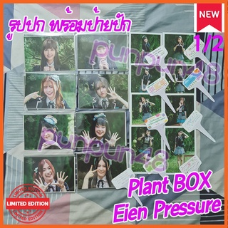 (1/2) CGM48 รูปพิเศษ Plant Box Eien pressure แนวนอน แนวตั้ง เปปเปอร์มิ้นต์ คนิ้ง มามิ้ง สิตา ฟอร์จูน แชมพู