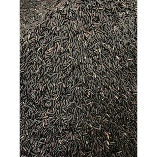 🌾ข้าวกล้องไรซ์เบอร์รี่ปลอดสาร เกรดคัดสีพิเศษ ตราไก่สีทอง แพคสูญญากาศ Organic แท้ 100% 1 กก.