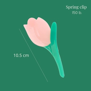 Spring clip (กิ๊บอะคริลิค)