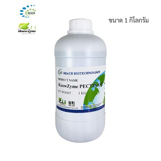 iKnowZyme Pectinase เอนไซม์เพกทิเนส ขนาด 1 กิโลกรัม