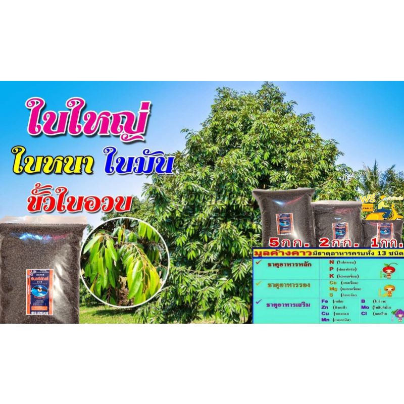 ปุ๋ยอินทรีย์มูลค้างคาว 6-3-3 ขนาด1กิโลกรัม
