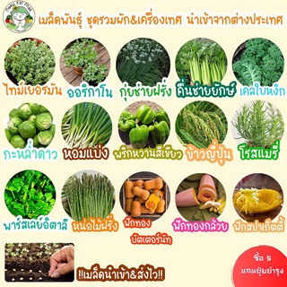 เมล็ดพันธุ์ รวม ชุด ผัก&amp;เครื่องเทศ ปลูกง่าย ไม่กลายพันธุ์ ไทม์/โรสแมรี่/เคลใบหงิก/กะหล่ำดาว/หน่อไม้ฝรั่ง ขายดี พร้อมส่ง