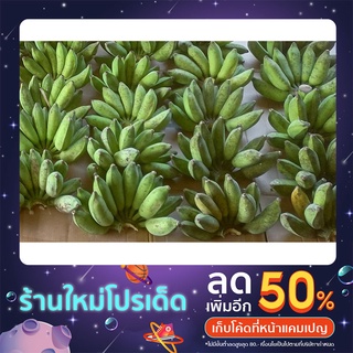 กล้วยน้ำหว้า ปากช่อง50