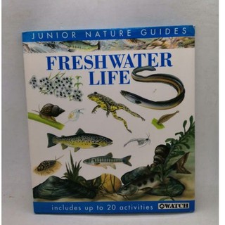 Freshwater Life (Junior Nature Guides) -34