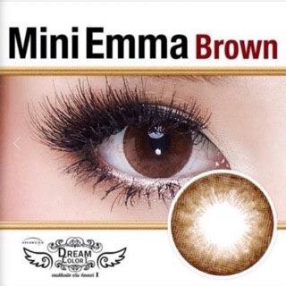 mini Emma Brown (1) มินิ สีน้ำตาล เรียบๆ Dreamcolor1 Contact Lens Bigeyes คอนแทคเลนส์ ค่าสายตา สายตาสั้น บิ๊กอายส์ ตาโต