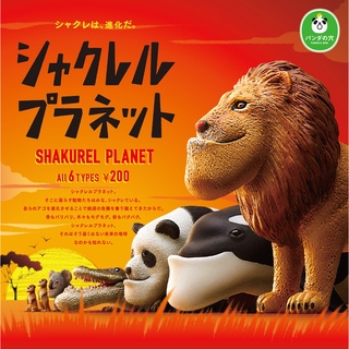 Gashapon Takara Tomy Shakurel Planet 1 - กาชาปอง ชางคูเรียว สัตว์คางยื่น สิงโต ปลาวาฬ แพนด้า จระเข้ เมียร์แคต หมีโคอาลา