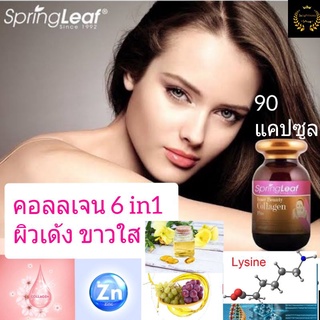 Spring leaf inner beauty collagen 6 in 1 คอลลาเจน ผิวเด้ง ขาวใส วิตามิน อาหารเสริม grape seed  evening primrose zinc