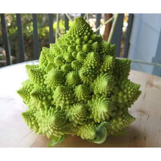 บล็อคโคลี่ เจดีย์ - Romanesco Broccoli