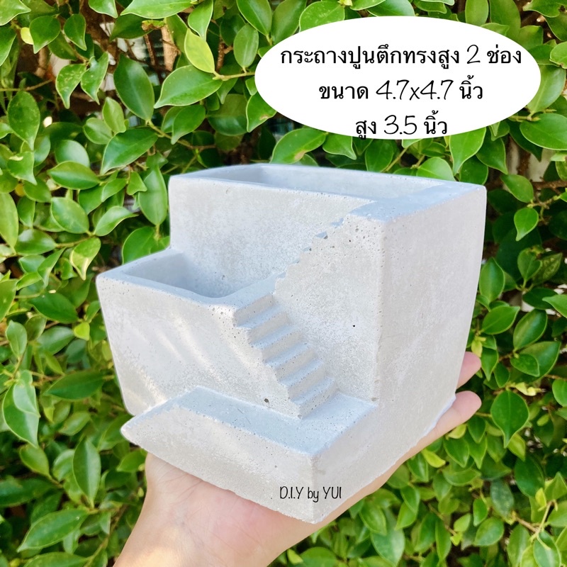 กระถางปูน กระถางแคคตัส กระถางปูนเปลือย