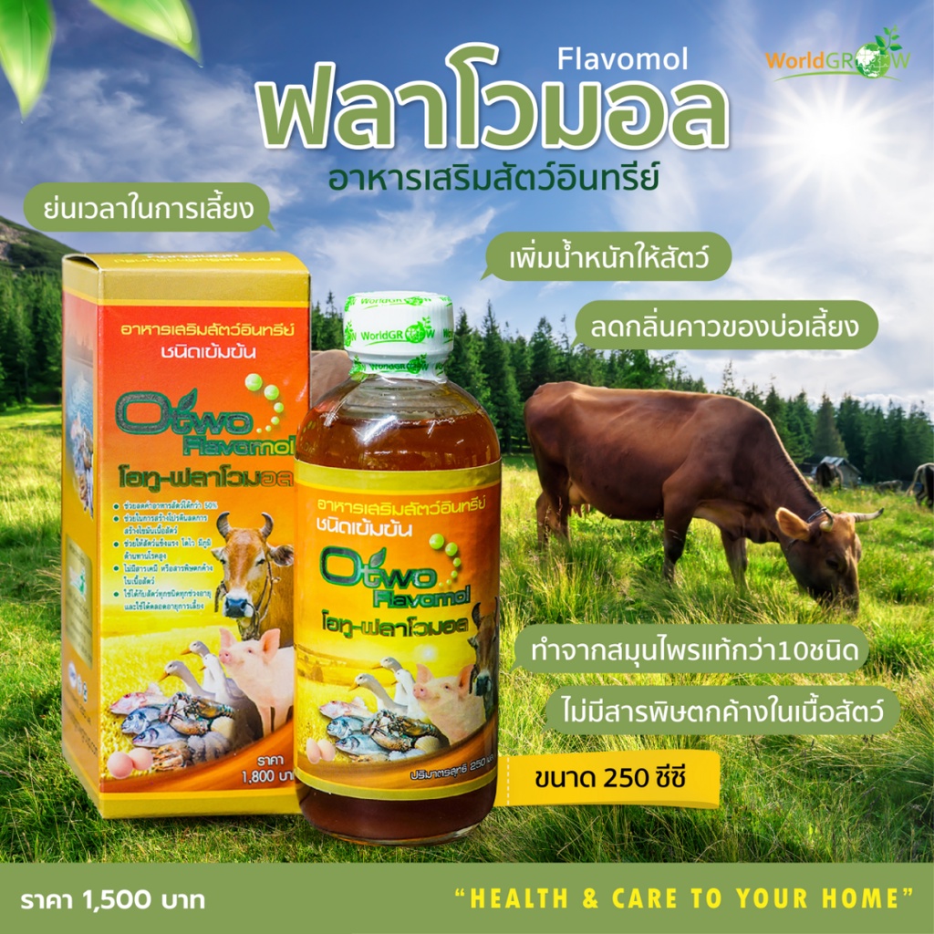 ฟลาโวมอล อาหารเสริมสัตว์อินทรีย์ ขนาด 250 ซีซี บำรุงสัตว์เลี้ยง เกษตรอินทรีย์ พร้อมส่ง